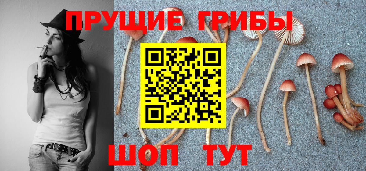 Галлюциногенные грибы мицелий  продажа наркотиков  Строитель  Вход с VPN 