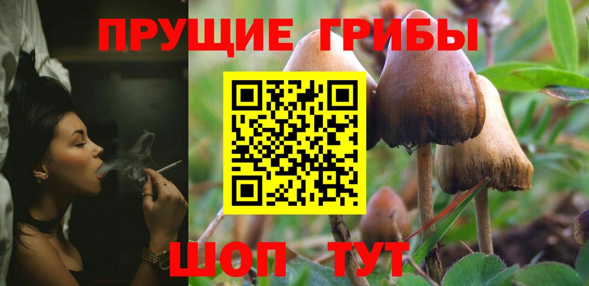 Псилоцибиновые грибы мицелий Строитель